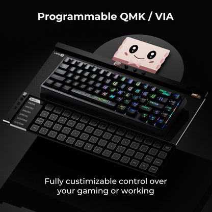 XVX M67 JadeStone Miami Tri-Mode RGB Mechanical Keyboard