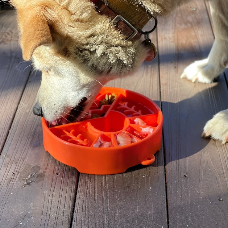 Great Outdoors eBowl - Slow Feeder Dog Bowl & Enrichment | USA Made