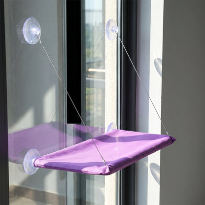 Cat Window Hammock Bed